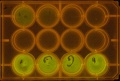 Thumbnail for version as of 19:37, 15 November 2011