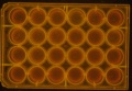 Thumbnail for version as of 09:48, 7 April 2016