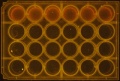 Thumbnail for version as of 14:07, 8 April 2016