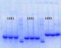 Thumbnail for version as of 14:12, 13 January 2014