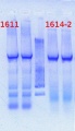 Thumbnail for version as of 15:38, 15 February 2013