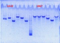 Thumbnail for version as of 14:05, 25 September 2013