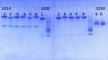 Thumbnail for version as of 12:40, 26 August 2014