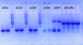 Thumbnail for version as of 14:13, 8 August 2014