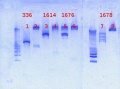 Thumbnail for version as of 12:53, 22 February 2013