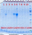 Thumbnail for version as of 09:33, 14 November 2012