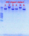 Thumbnail for version as of 15:24, 5 December 2011