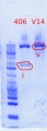 Thumbnail for version as of 16:00, 16 May 2012