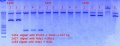 Thumbnail for version as of 14:46, 21 November 2012