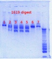 Thumbnail for version as of 13:16, 29 March 2013
