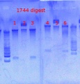 Thumbnail for version as of 12:21, 3 May 2013