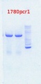 Thumbnail for version as of 16:08, 18 July 2013