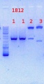 Thumbnail for version as of 10:58, 29 August 2013
