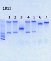 Thumbnail for version as of 12:17, 2 August 2013
