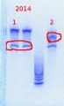 Thumbnail for version as of 10:21, 10 February 2014
