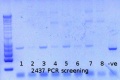 Thumbnail for version as of 17:28, 1 May 2015