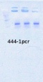 Thumbnail for version as of 10:59, 19 May 2014