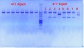 Thumbnail for version as of 09:59, 27 December 2011