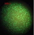 Thumbnail for version as of 14:57, 20 January 2012