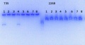 Thumbnail for version as of 16:22, 28 July 2014