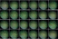 Thumbnail for version as of 12:50, 14 October 2014