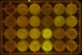 Thumbnail for version as of 17:58, 4 November 2011