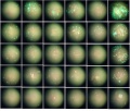 Thumbnail for version as of 15:36, 15 April 2016