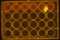 Thumbnail for version as of 16:38, 21 April 2016