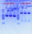 Thumbnail for version as of 15:22, 21 March 2012