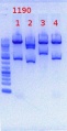 Thumbnail for version as of 15:43, 28 May 2012