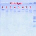 Thumbnail for version as of 14:49, 28 August 2012