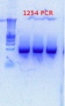 Thumbnail for version as of 11:12, 6 July 2012