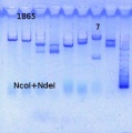 Thumbnail for version as of 17:34, 26 September 2013