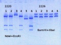 Thumbnail for version as of 11:44, 22 May 2014