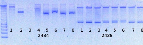 RTENOTITLE