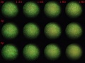 Thumbnail for version as of 16:48, 10 January 2012