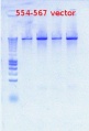 Thumbnail for version as of 15:32, 19 September 2012