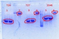 Thumbnail for version as of 11:35, 4 February 2014
