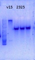 Thumbnail for version as of 14:05, 8 January 2015