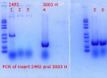 Thumbnail for version as of 20:34, 23 February 2018
