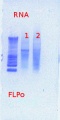 Thumbnail for version as of 14:44, 5 March 2013