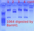 Thumbnail for version as of 11:21, 3 April 2012