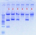 Thumbnail for version as of 16:40, 13 August 2012