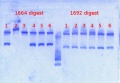 Thumbnail for version as of 14:58, 20 March 2013