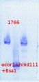 Thumbnail for version as of 17:36, 13 June 2013