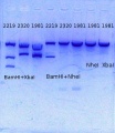 Thumbnail for version as of 13:37, 24 September 2014