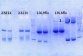 Thumbnail for version as of 16:23, 10 October 2014