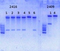 Thumbnail for version as of 17:35, 30 January 2015
