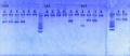 Thumbnail for version as of 13:02, 3 May 2013