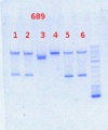 Thumbnail for version as of 10:11, 4 October 2013